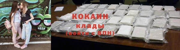 крисы Горняк