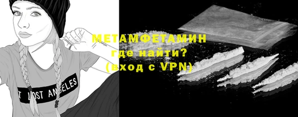 индика Гусь-Хрустальный