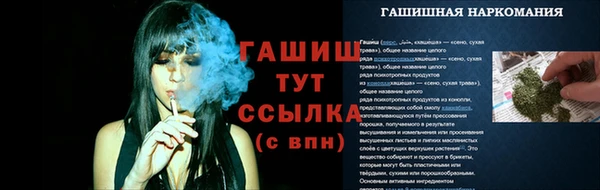 крисы Горняк
