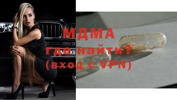 индика Гусь-Хрустальный