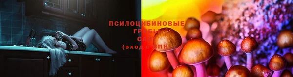индика Гусь-Хрустальный