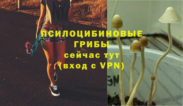 эйфоретик Горнозаводск