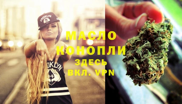 индика Гусь-Хрустальный