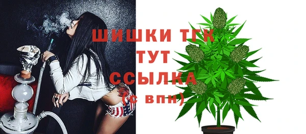 эйфоретик Горнозаводск