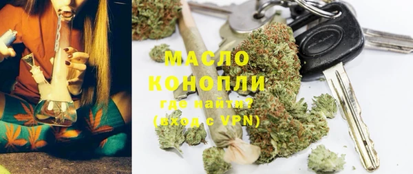 крисы Горняк