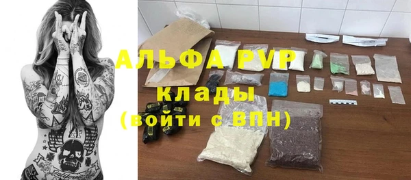 крисы Горняк