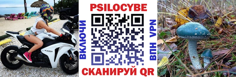 купить   мега сайт  Псилоцибиновые грибы ЛСД  Дмитровск 